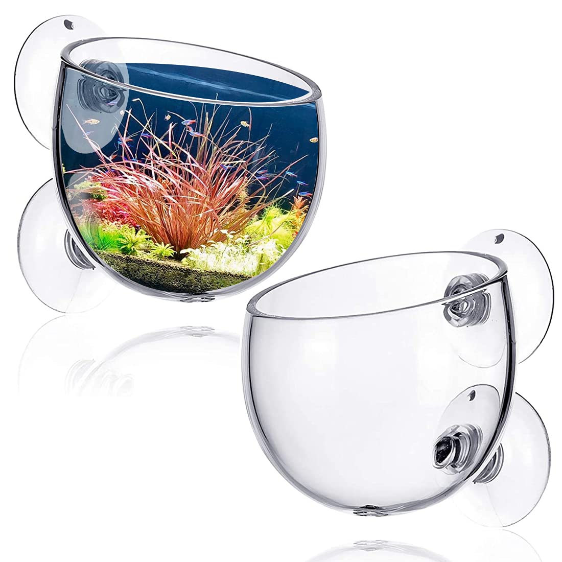 2PCS Clear Glass Aquatic Plant Pots Suction Cups Aquarium Planter Live Plants Fish Tank Holder for Aquarium Decoration