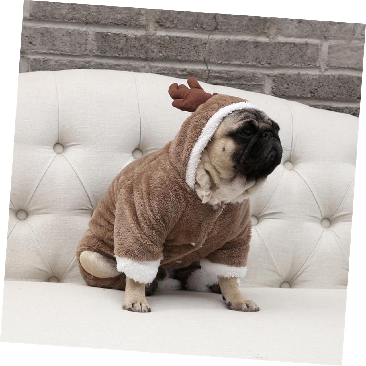 BESPORTBLE 2 Pz felpa invernale costume da pirata per cani cucciolo di gattino inverno del cane abbigliamento per animali domestici cappotto invernale vestiti per cani