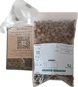 500 Sementes Grama Amendoim Forrageiro para jardim e gramado