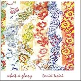instrumental Pop Rock What a Glory by Toplak, Daniel (2005-04-26)