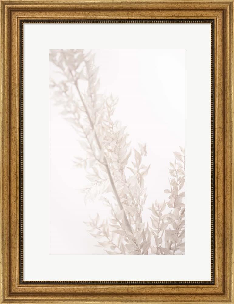 Dried Straws by 1X Studio III Laminated Art Print, 19 x 28 inches
