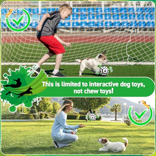 Image of QDAN Dog Toys Balls with Bell Inside, Squeaky Dog Balls for Tug of War, Puppy Birthday Gifts, Dog Water Toys, Ball for Small Dogs(Black Green, 5 inch)
