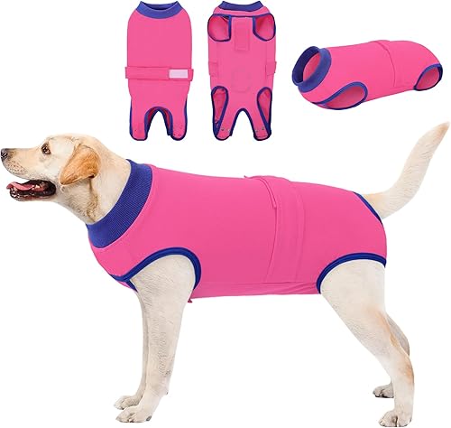 Queenmore Traje de recuperación para perros y gatos después de la cirugía, traje de recuperación quirúrgica para perros, mameluco, antilamedas, Gris