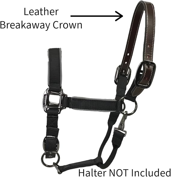 Tahoe Tack 14 Mini Horse Halter Replacement Breakaway Crown Premium Single Layer Dark Brown Leather, Durable and Flexible Design