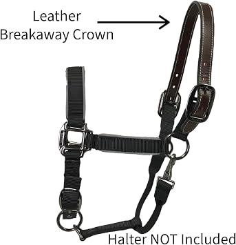 Tahoe Tack 14 Mini Horse Halter Replacement Breakaway Crown Premium Single Layer Dark Brown Leather, Durable and Flexible Design