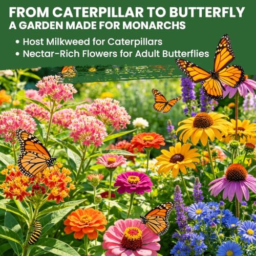 Milkweed Seeds for Monarch Butterflies โ Wildflower Seeds Mix 18000+ Seeds (1.76 oz), Perennial Pollinator Garden Flowers, Attract Bees, Butterflies & Hummingbirds, Easy to Grow (1.76 oz) - 1