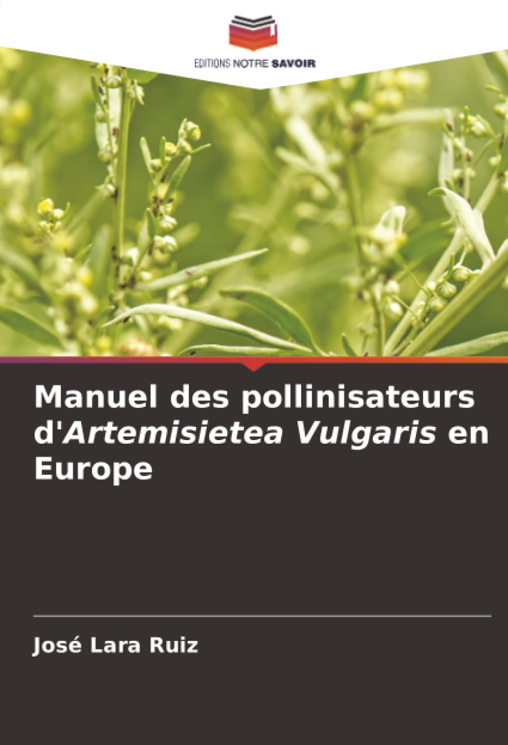 Manuel des pollinisateurs dArtemisietea Vulgaris en by José Lara Ruiz PAPERBACK