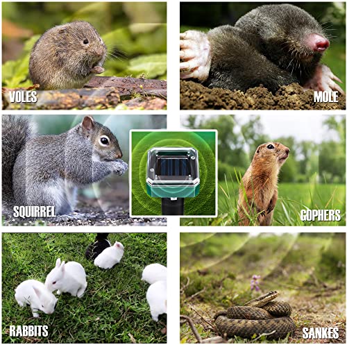 Solar Mole Repellent, 8 Pack Ultrasonic Mole Repellent Solar Powered, Waterproof Snake Vole Gopher Repellent for Garden & Yard, green Solar Mole Repellent, 8 Pack Ultrasonic Mole Repellent Solar Powered, Waterproof Snake Vole Gopher Repellent for Garden & Yard, green