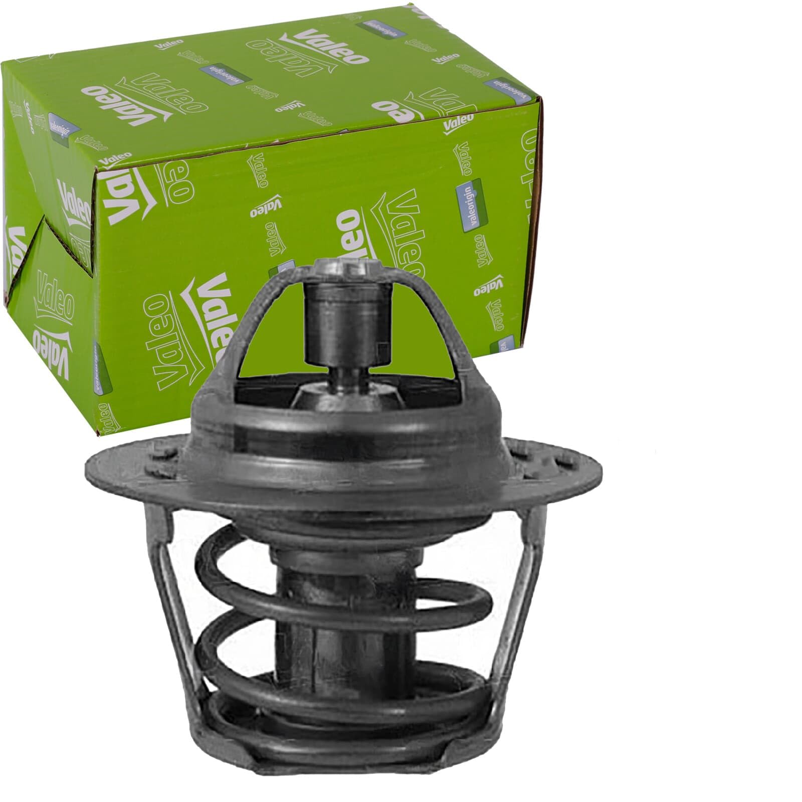 VALEO SERVICE 819838 Thermostat