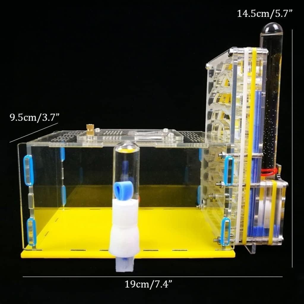 Ameisenfarm Nistkasten, Ameisenburg Aus Acryl, Biologieunterricht, Ameisen, Wissenschaftsbausatz Für Selbermachen, Ameisenfarm, Ameisenlebensraum Beobachten, Ameisennestfarm Ameisenhaus(Blue)