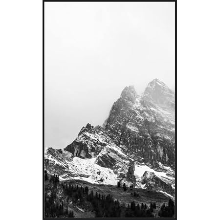 Amazon.com - Frame It Easy 28 x 46 Satin Black Metal Frame (Ashford) -