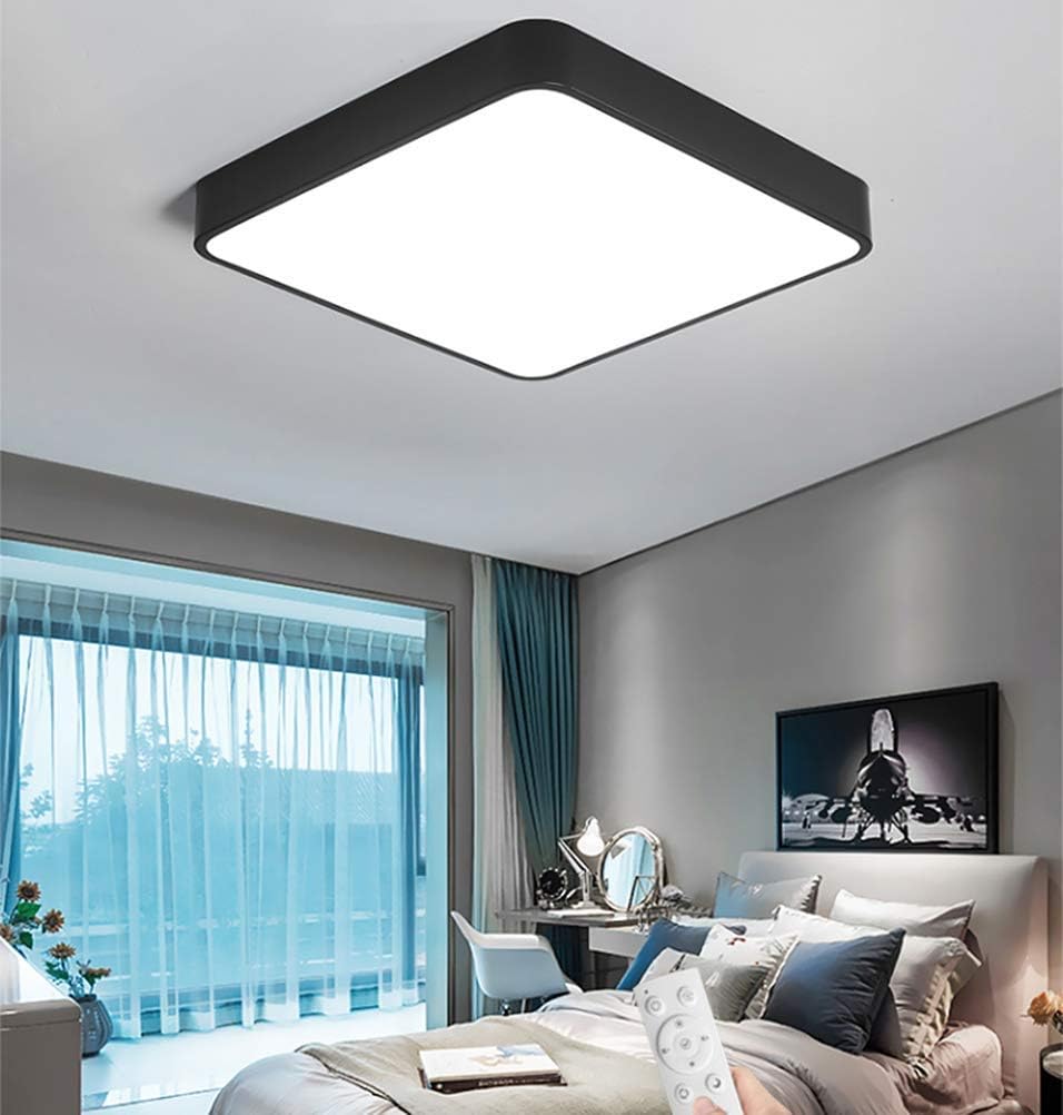 LAKIQ Modern Dimmable LED Flush Mount Ceiling Light Fixture with Remote Acrylic Bedroom LED Ceiling Lamp Close to Ceiling Lighting for Living Room Hallway Kids Room(Green,12'',Stepless Dimming)