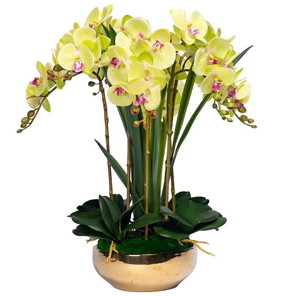 Kunstblumen-Set, künstliche Orchideen (Phalaenopsis 8) mit Goldener Vase, Dekoration für Hochzeitszimmer, Schlafzimmer und mehr.