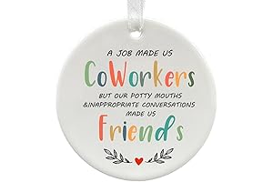 Funny Coworker Christmas Ornaments for Office Friends