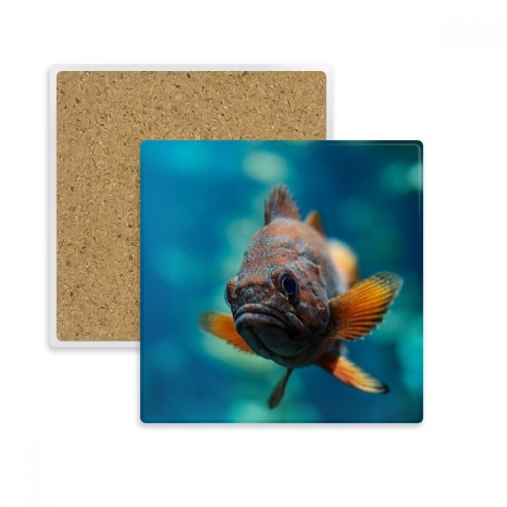 Sous-verre poisson tropical en pierre absorbante multicolore pour tasse