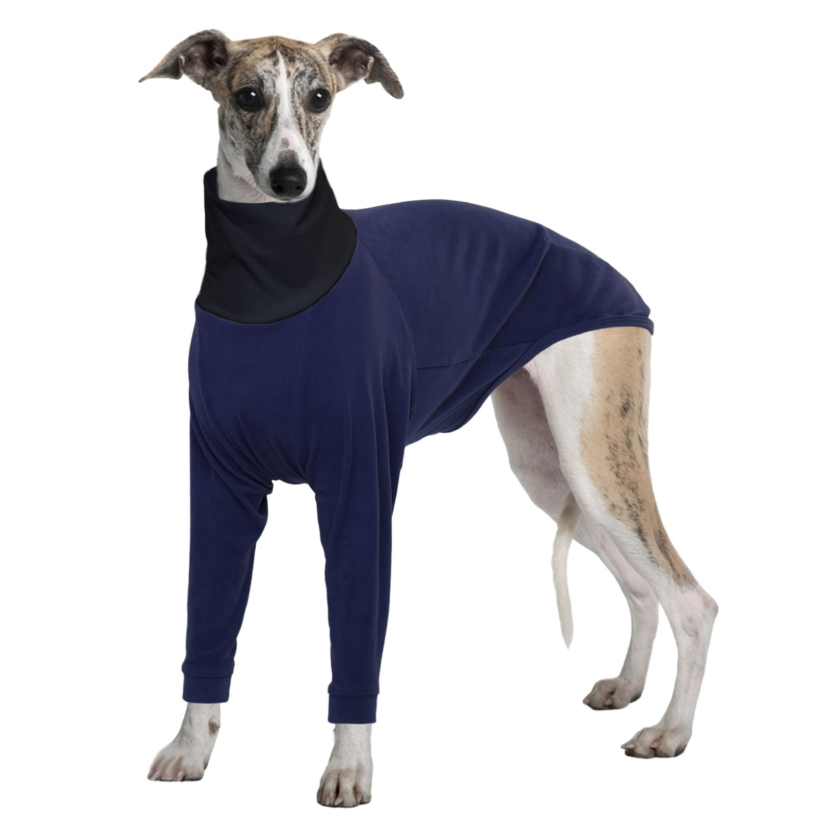 Veste hiver lévrier bleu foncé XL pour les balades par grand froid
