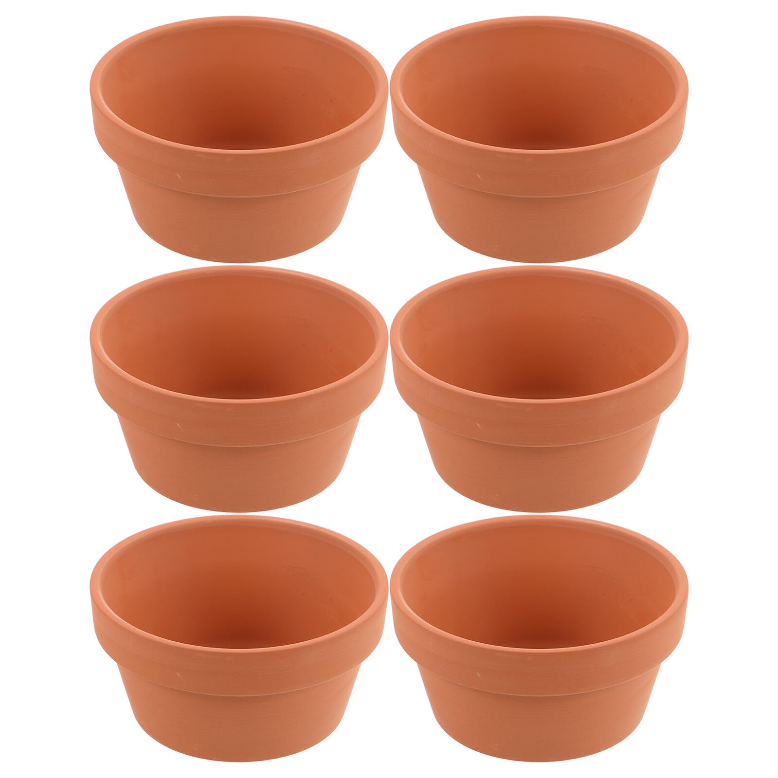 Pots en céramique pour cactus évitant le pourrissement racinaire