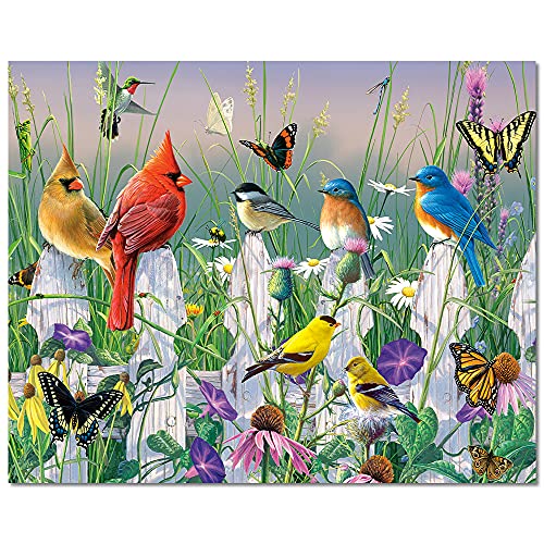 Peinture par numéros Adulte, Oiseaux Peinture par Numéros Kits pour Adultes sur Toile, Papillon et Fleurs Peindre par Numéros, 16 x 20 pouces Peinture par Numéros Artisanat pour Adultes Cover
