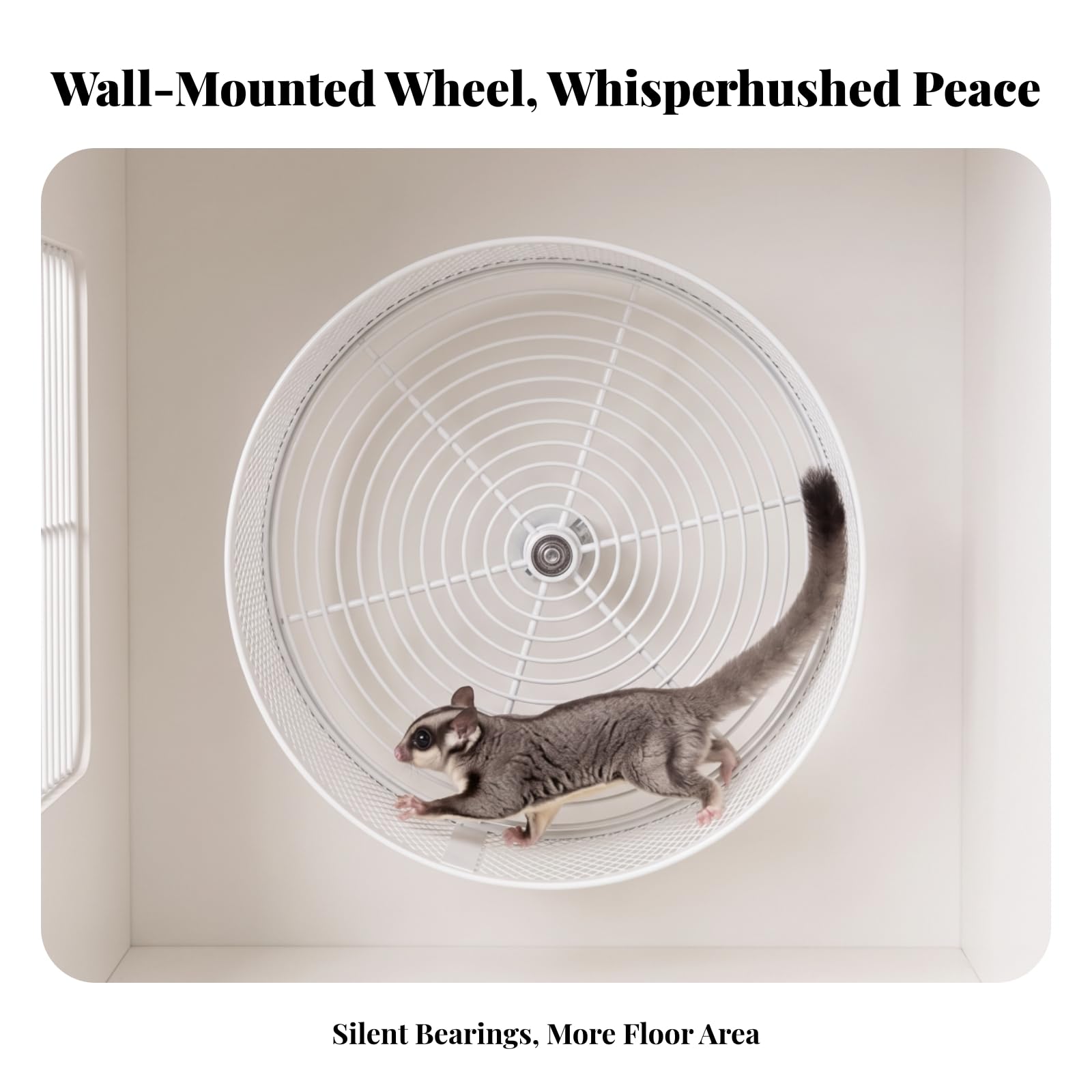 Roue pour Hamster Mural, Noir, 32 Cm
