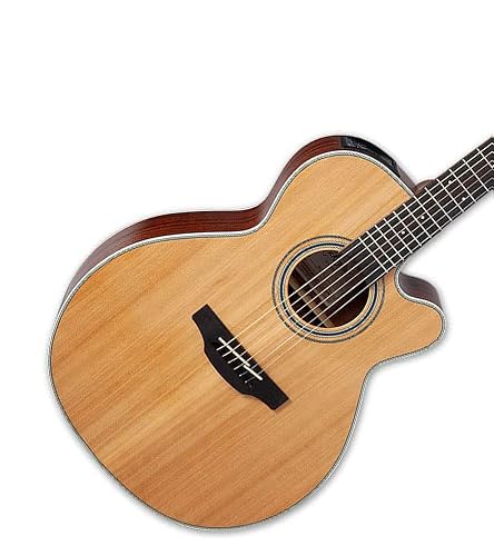 Amazon.com: Takamine GN20CE-NS NEX Acoustic-Electric Guitar