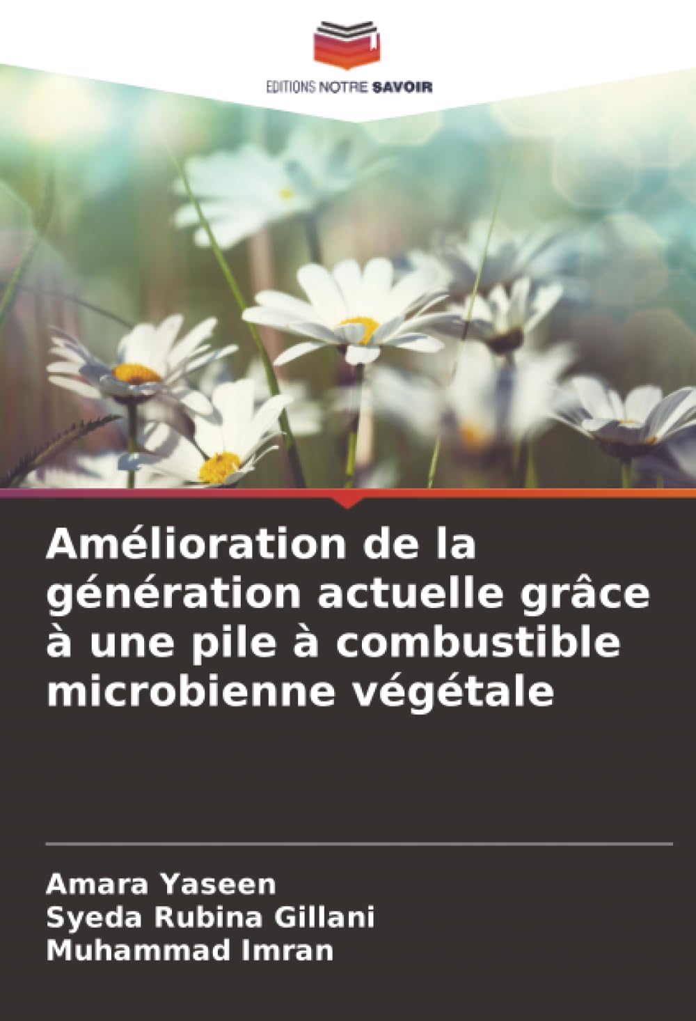 Amélioration de la génération actuelle grâce à une pile à combustible microbienne végétale