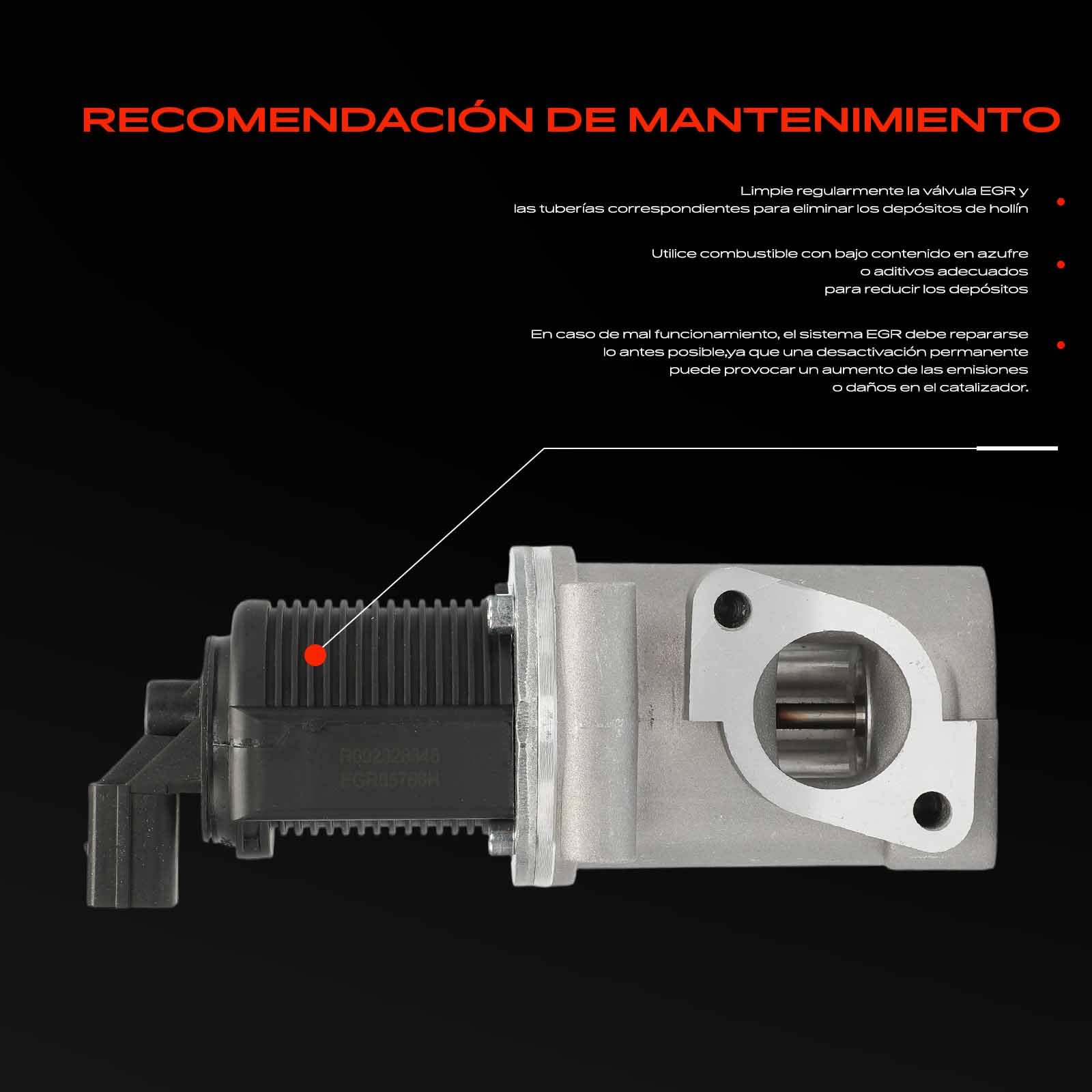 Frankberg Válvula EGR Diesel Compatible con Stilo 192 19L BR.A.Vo II 198 19L Doblo MPV 119 223 19L Stilo Multi Wagon 192 19L 147 937 19L Replace# 55182482