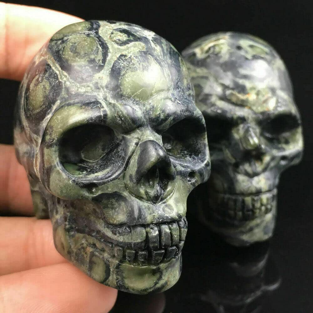 TEAMWILL 2" Natural Kambaba Jasper Quartz Crystal Carved Skull Halloween Powerful Gift 1PC