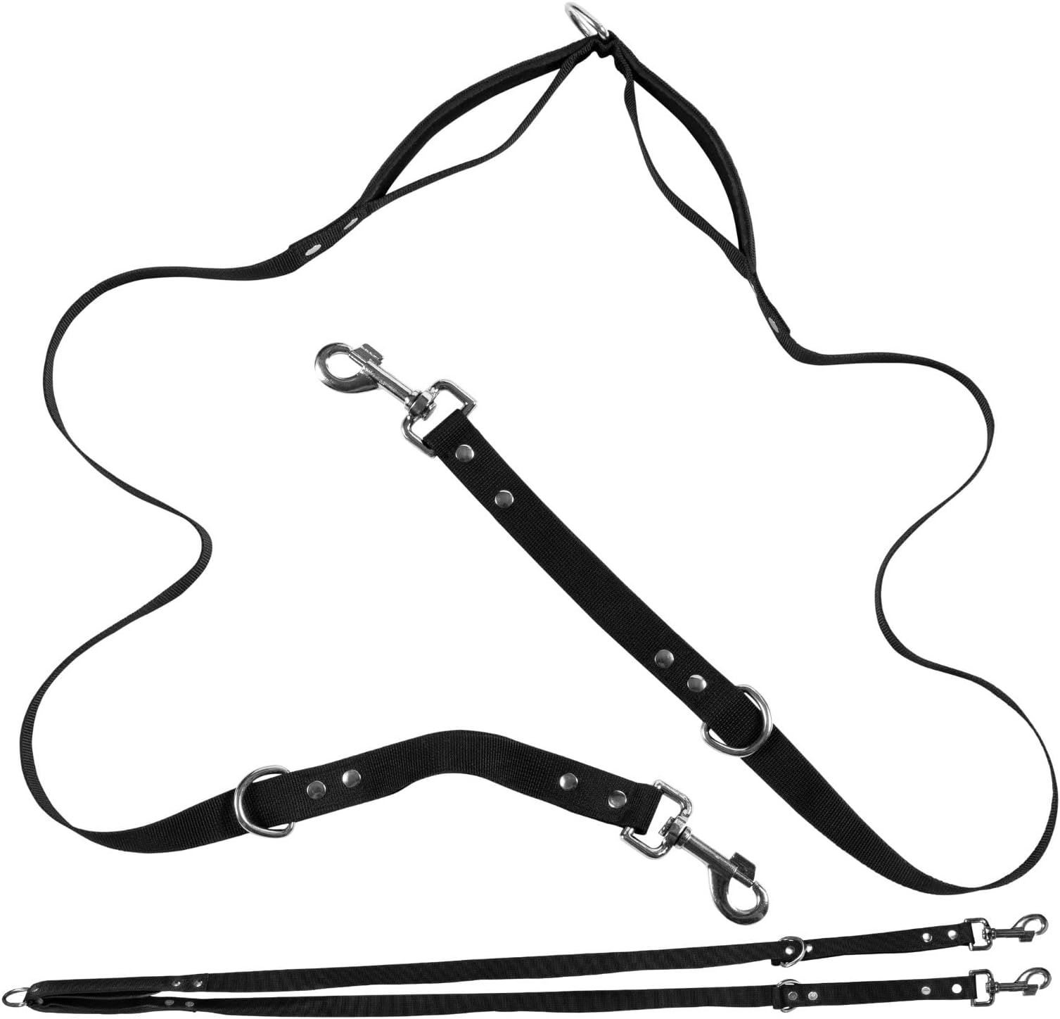 PetSafe Two Point Control Leash, Padded and Reflective Nylon Leash Converts to