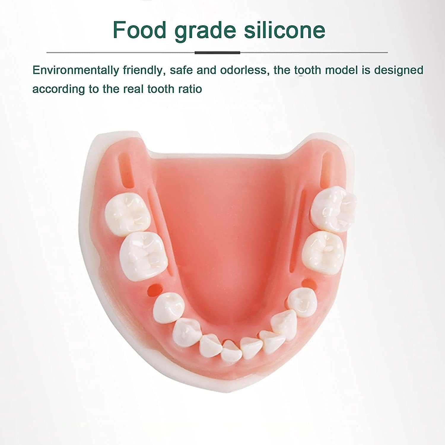 Modello didattico, kit di sutura dentale, kit di modelli di sutura orale simulata, kit di formazione chirurgica sulla sutura cutanea, set di pratica chirurgica chirurgica for studenti di medicina e od