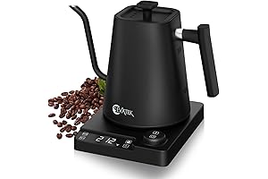 Gooseneck Electric Kettle With Temperature Control