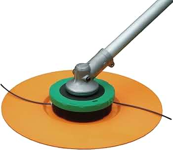 61mC4-Yh1-L._AC_UF350,