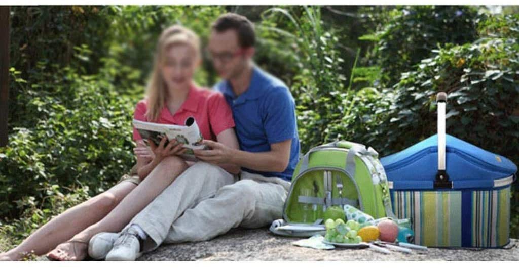 Cesta Picnic Familia aislada Cesta de Picnic, Bolsa de Almuerzo Térmica Gran ​Espacio Plegable para Trabajo Viaje Playa Picnic (Color : Pink)