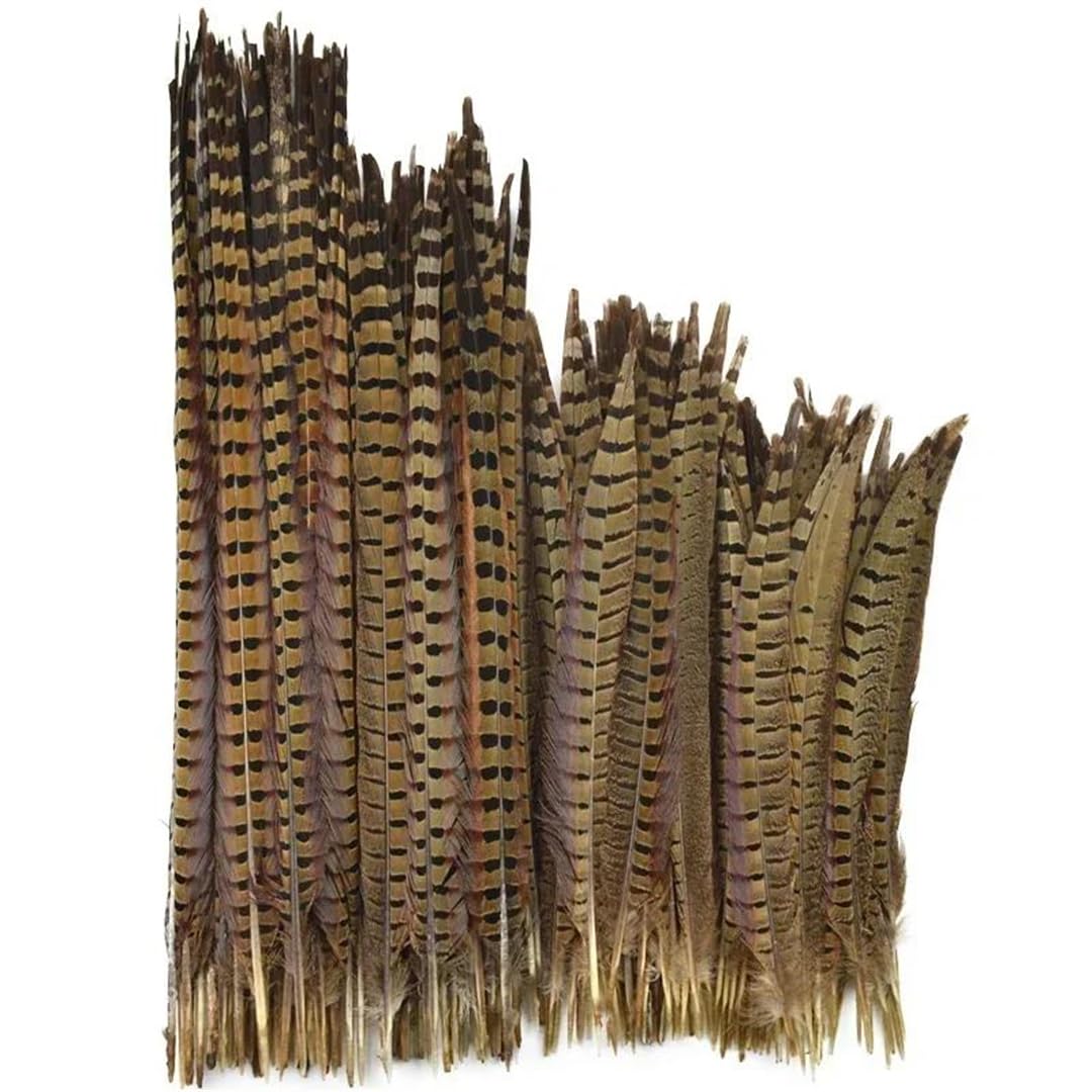 Lot de 50 plumes naturelles à longue queue de 10 à 75 cm pour travaux manuels, extensions de cheveux et décorations à faire soi-même