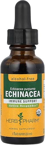 Herb Pharm Glicerita de equinácea orgánica, 1 FZ