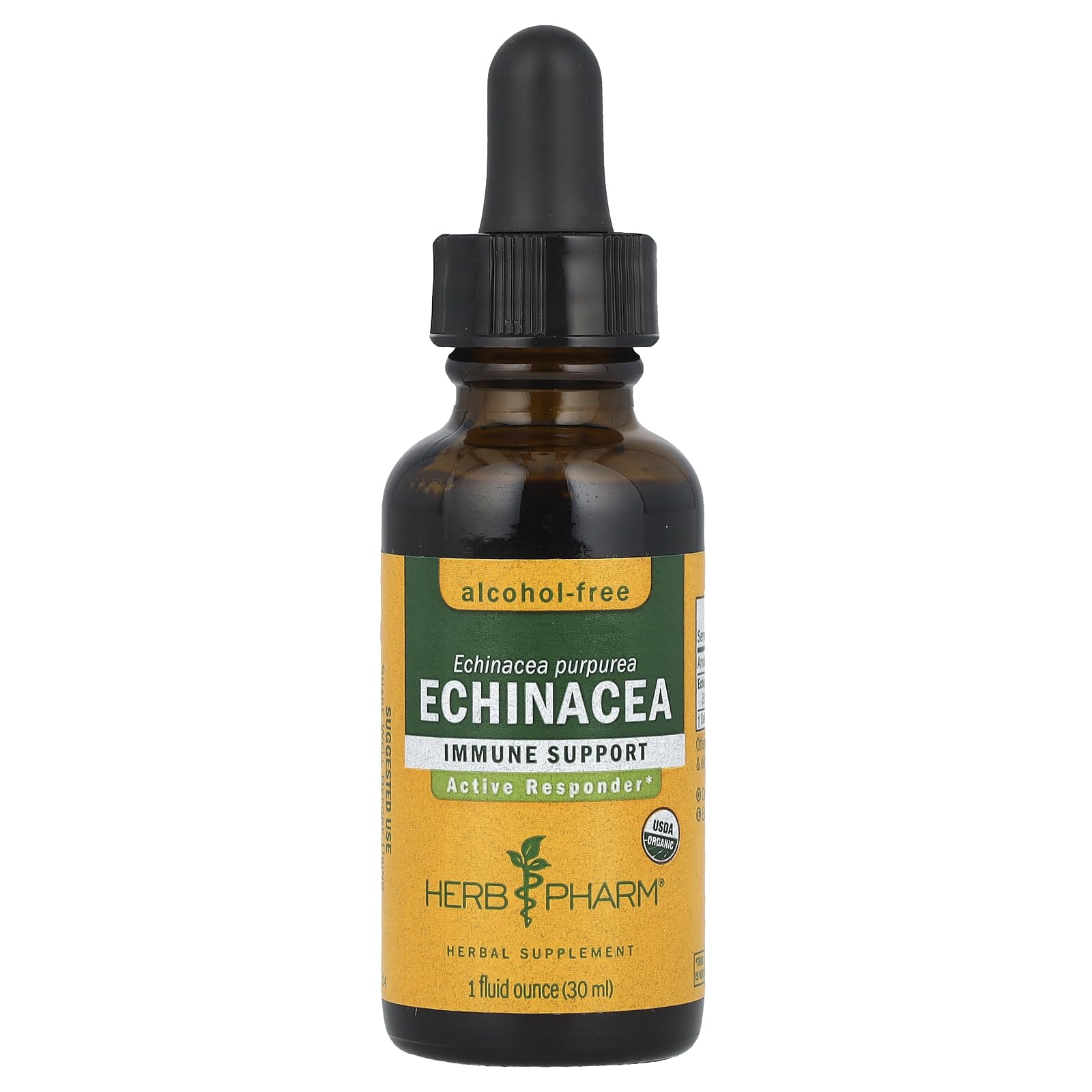 Echinacea Glycerite