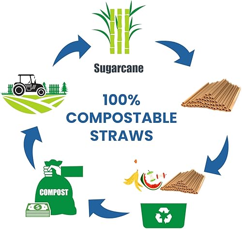 Miniatura 7 de Vallo Pajitas compostables para beber  100% biodegradables, no se empañan, adecuadas para bebidas frías y calientes, material ecológico de caña de