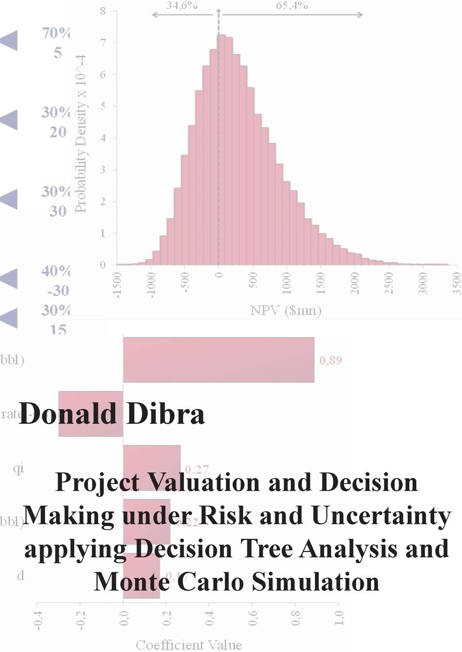 Project Valuation and Decision Making under Risk and Uncertainty applying Decision Tree Analysis and Monte Carlo Simulation