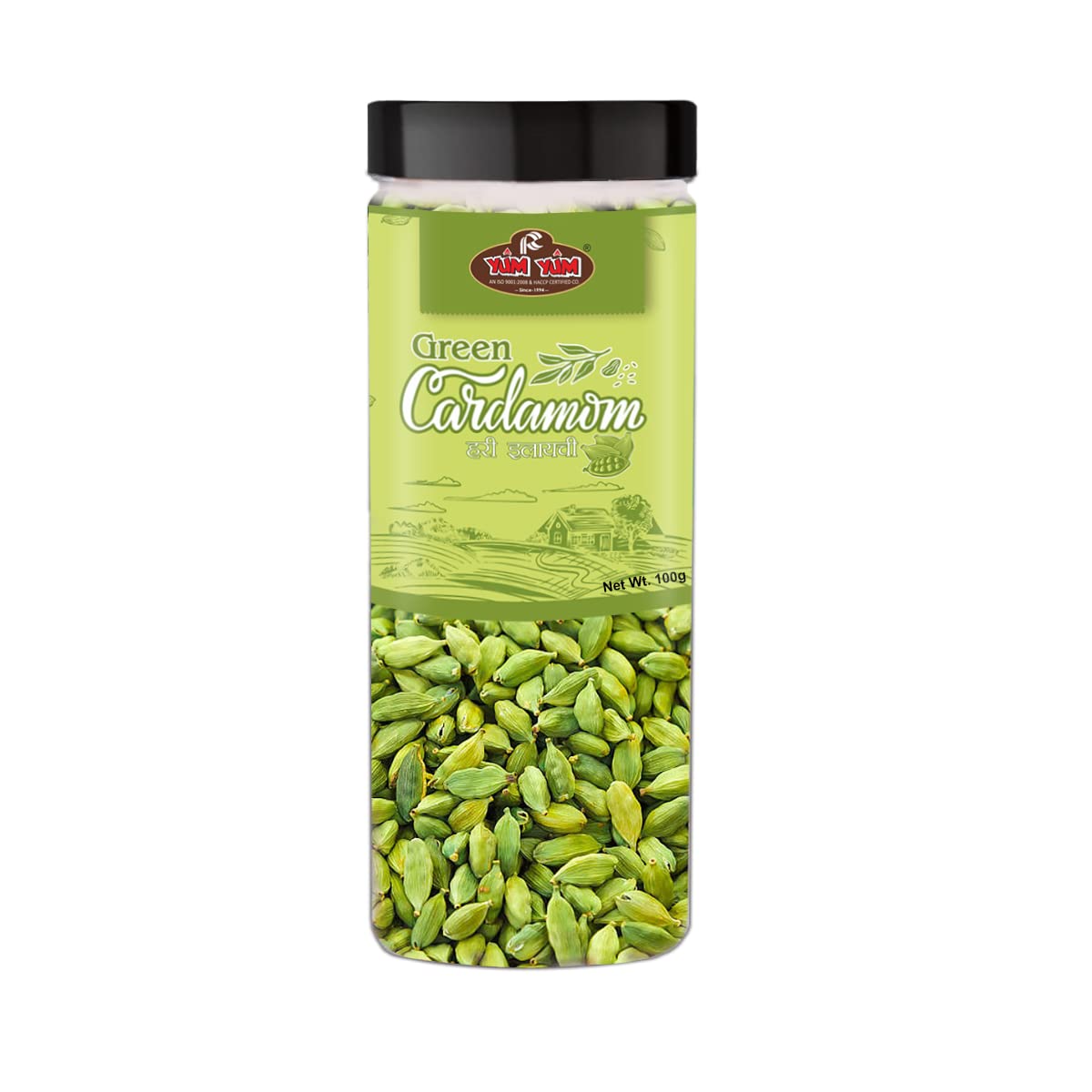 Yum Yum Whole Premium Green Cardamom (Chhoti Elachi) 8Mm Medium Size 100Gm Jar (B09Q9391YP) Amazon Price History, Amazon Price Tracker