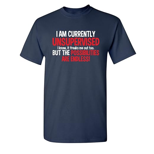 I'm Currently Unsupervised Novelty Graphic Sarcastic Funny T Shirt