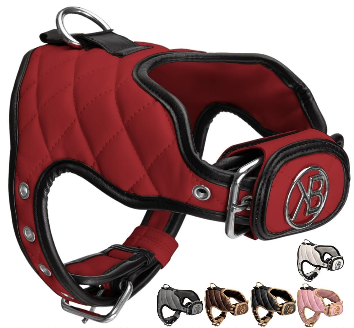 Kaycee Belle® Luxury Dog Harness Comfortable Adjustable Premium soft Padded Vegan Leather No pull no-choke harness with power strap small medium large dogs (Red Harness, Small)