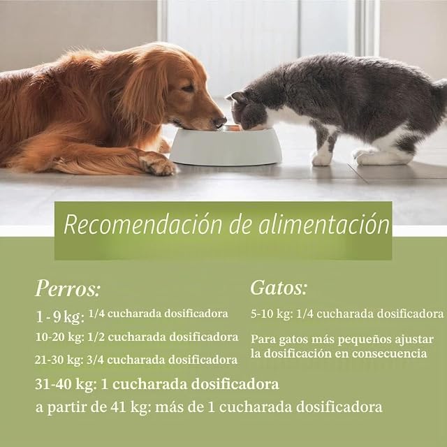 Foto 3 de 5 de Sanct Bernhard Tierlieb Colágeno en polvo, para perros y gatos, hidrolizado de colágeno biológicamente activo