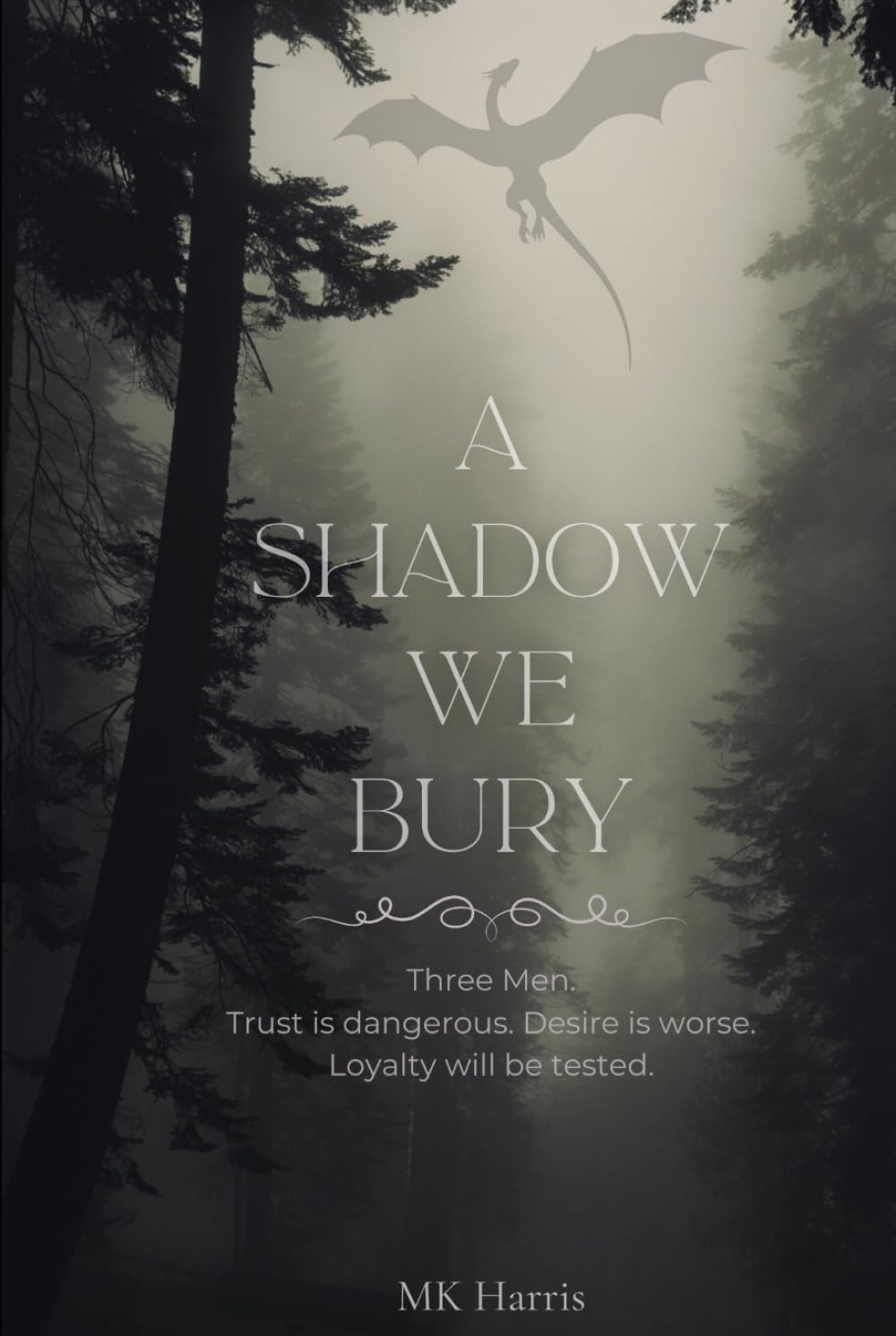 A Shadow We Bury