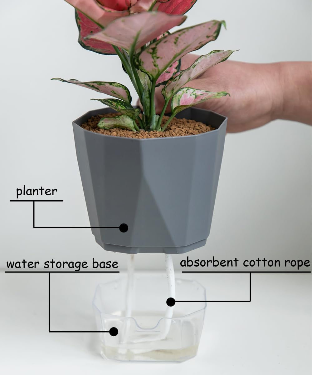 3 Pack 8.5/6.7/5 Inch Plastic Self Watering Indoor Planters,Modern Decorative Plant and Flower Pots for Succulents,Aloe,Herbs,African Violets,Peace Lily with Absorbent Rope,White