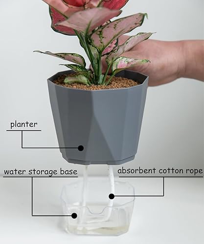 Miniatura 4 de Qimodo Paquete de 3 macetas de plástico de 8.56.75 pulgadas con autorriego para interiores, plantas decorativas modernas y macetas para suculentas,