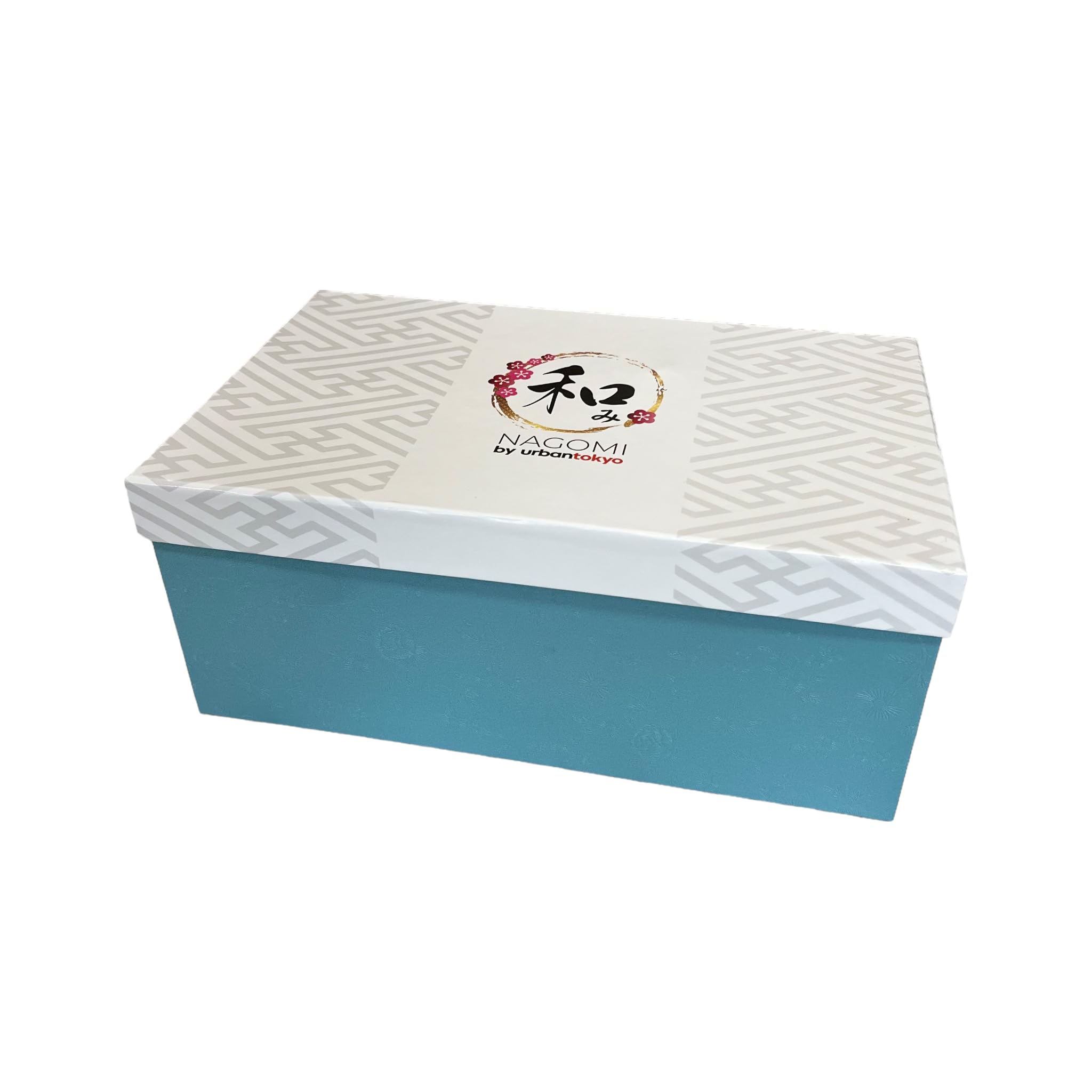Amazon.com | Porcelain Tea Set Square Shape 20 fl oz Teapot with 4