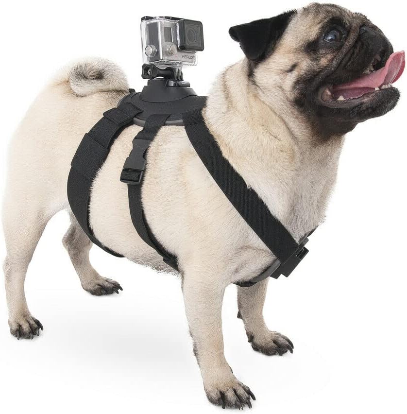 micros2u Action Camera Dog Harness Chest Fetch Mount. Compatible with Gopro 10, 9, 8, 7, 6, 5, 4