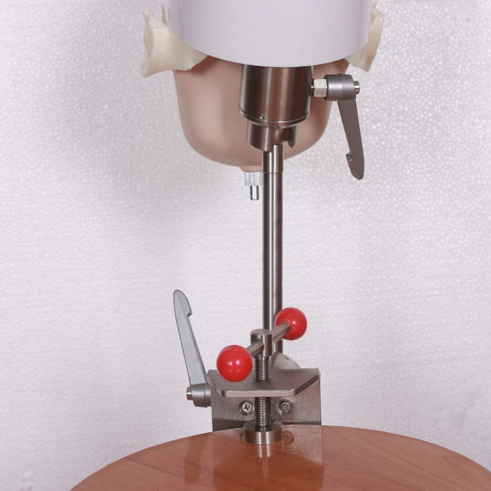 Manichino Fantasma Dentale, simulatore Dentale Testa, simulatore Dentale Formazione Testa Fantasma con Modello di Denti Formazione per Dentisti e assistenti dentali per Dentisti e assistenti dentali