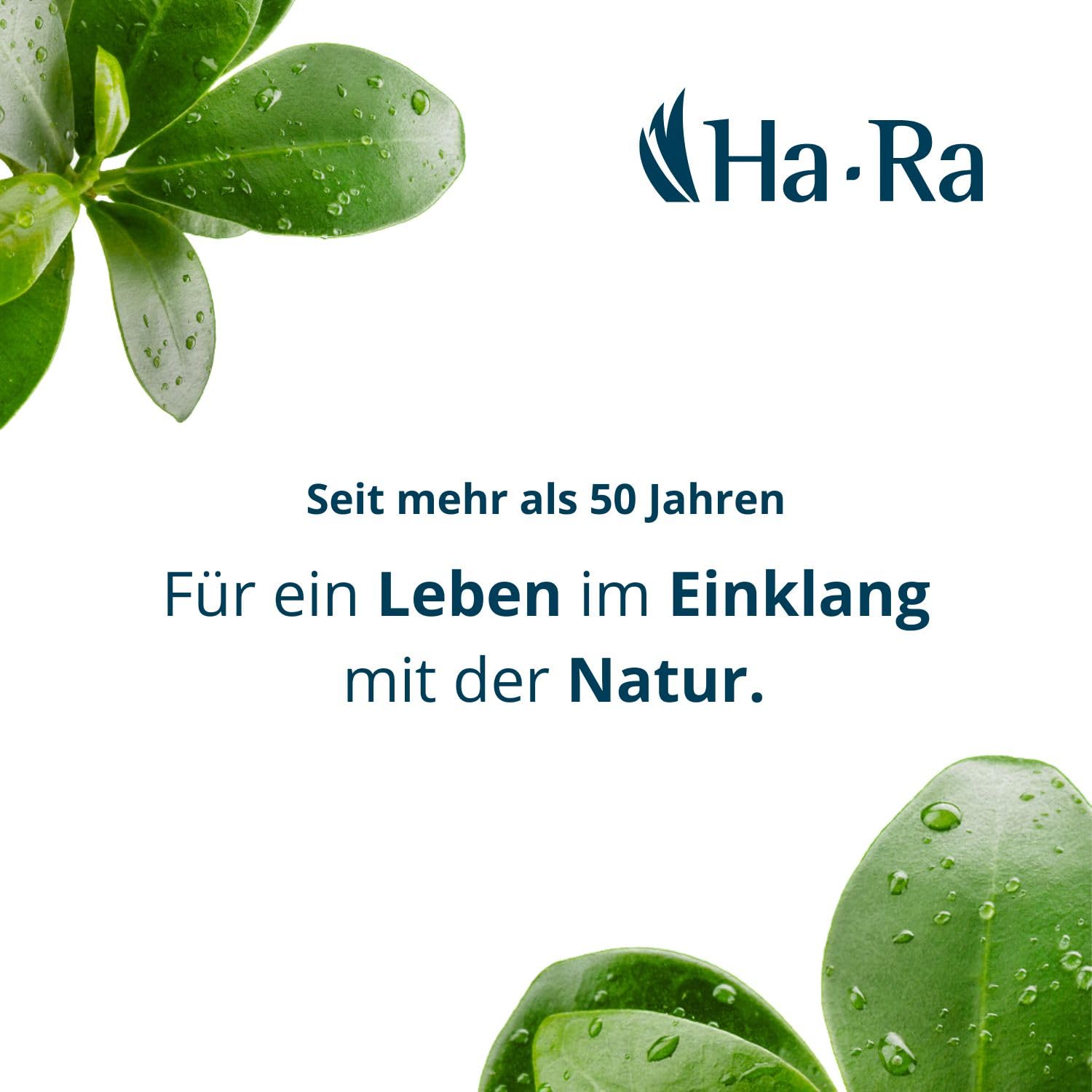 Ha-Ra Star-Tuch blau 2er Set (Farbton kann variieren) I Mikrofaser Tuch für Oberflächen-Reinigung I Zwei Putztücher in 40 x 40 cm I Hochleistungs-Mikrofaser I hohe Reinigungskraft.