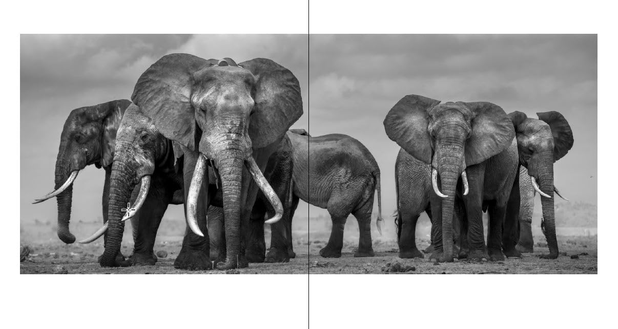 Walk the Earth: Federico Veronesi