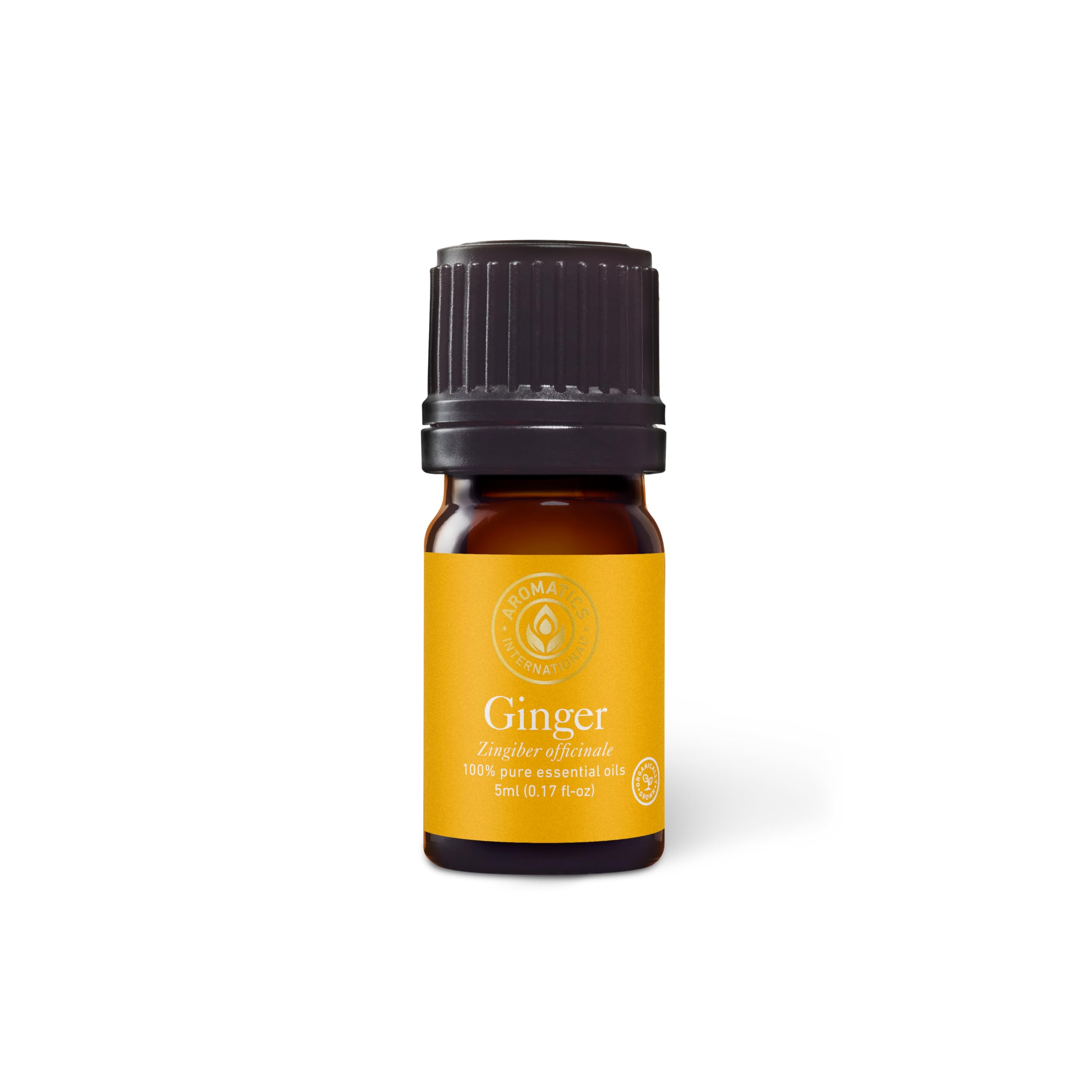 Aromatics International Premium Organic Ginger Essential Oil 5ml | 100% Pure Essential Oil for Diffusion & Aromatherapy
